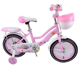 Children Bike  TY-TC1812